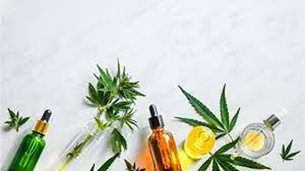 CBD Oil Benefits For Anxiety and Pain Management