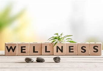 Creating a Culture of Workplace Wellness: Nurturing Employee Health and Productivity