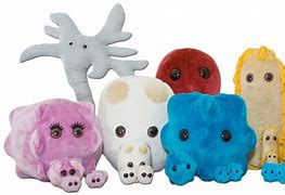 Microbes Plush: Cute and Educational Toys